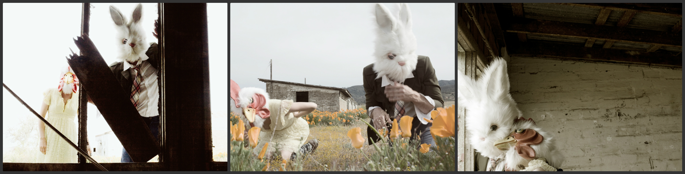 Titan bunny man. Дуглас Гриффин банимен. Банимэн кролик Легенда.