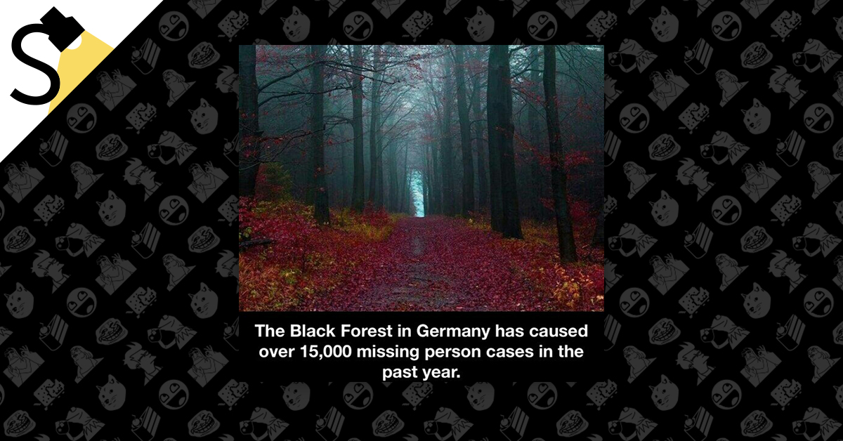 germany black forest missing persons