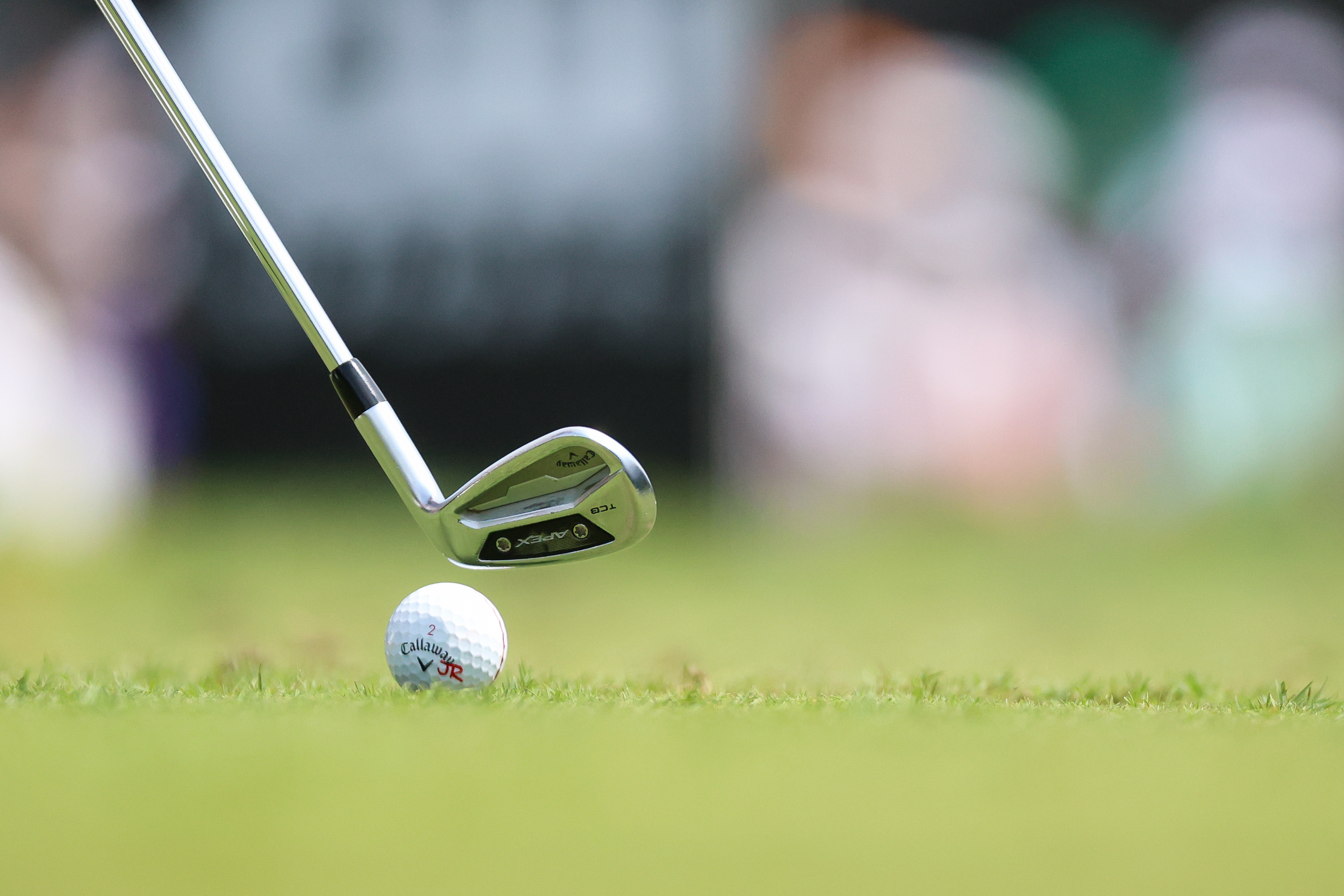 A golf club is next to a ball on grass.